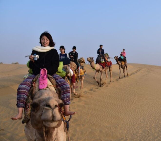 Overnight Luxury Desert Camping With Camel Safari - The Sum Up