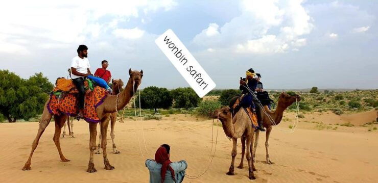 Overnight Luxury Safari by Wonbin Safari - Itinerary Highlights