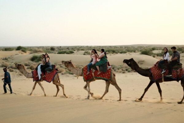 Overnight Luxury Safari by Wonbin Safari - Safety Guidelines