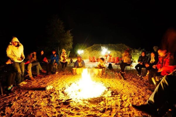 Overnight Luxury Safari by Wonbin Safari - The Sum Up