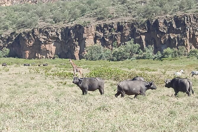 Overnight Mount Longonot and Hells Gate National Park From Nairobi - Directions