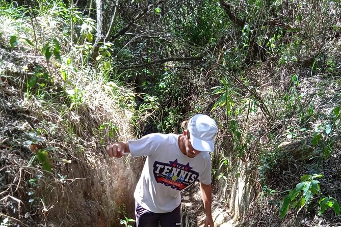 Overnight Mount Longonot and Hells Gate National Park From Nairobi - The Sum Up