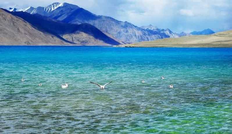 Overnight Pangong Tour From Leh With Thiksey & Shey Palace - Detailed Breakdown of the Experience