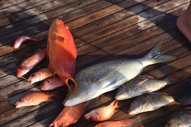 Overnight Private Fishing Adventure, Fishing Equipment - Hurghada - Booking and Participation Information