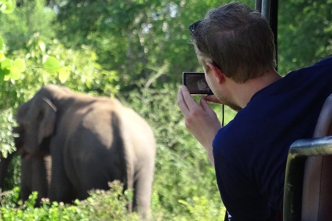 Overnight Private Leopard Safari With Luxury Tented Camping - How to Book Your Overnight Safari Experience