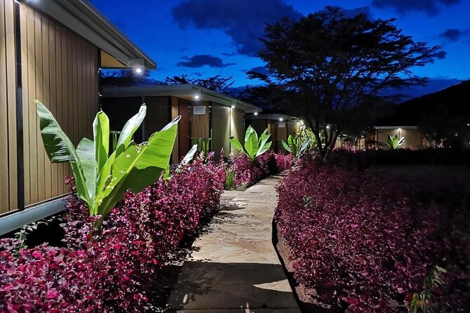 Overnight Private Safari to Maasai Mara From Nairobi - Itinerary Highlights