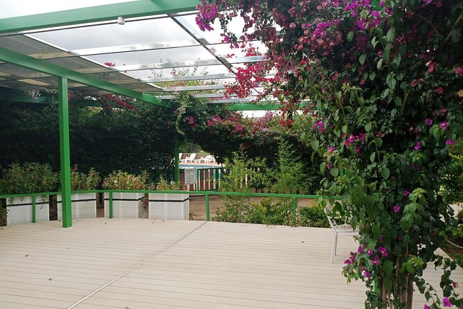 Overnight Private Safari to Maasai Mara From Nairobi - Maasai Mara Wildlife Encounter