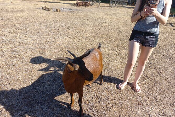 Overnight Private Yurt Getaway in Australia - Final Thoughts