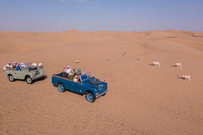 Overnight Safari and Sunrise Hot-Air Balloon Ride - Experience Overview