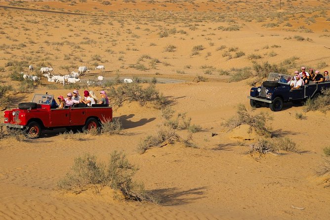 Overnight Safari and Sunrise Hot-Air Balloon Ride - Bedouin-style Safari Camp