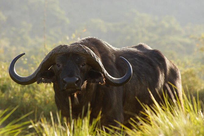 Overnight Safari To Aberdare National Park From Nairobi - Operator Details