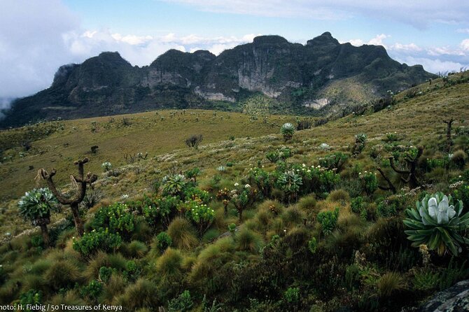 Overnight Safari To Aberdare National Park From Nairobi - Accommodation at The Ark Lodge