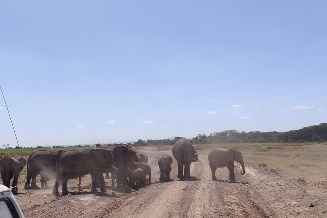 Overnight Safari to Amboseli National Park - Inclusions in the Safari Package