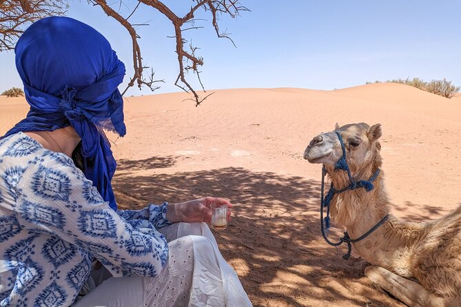 Overnight Sahara Desert Tour From Mhamid by Camel Ride - Tour Highlights