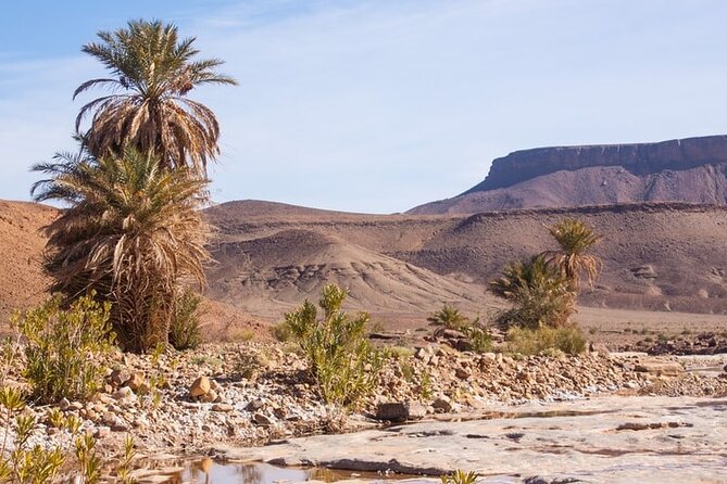 Overnight Sahara Tour From Marrakech to Mhamid - Overnight Stay in Nomadic Tent