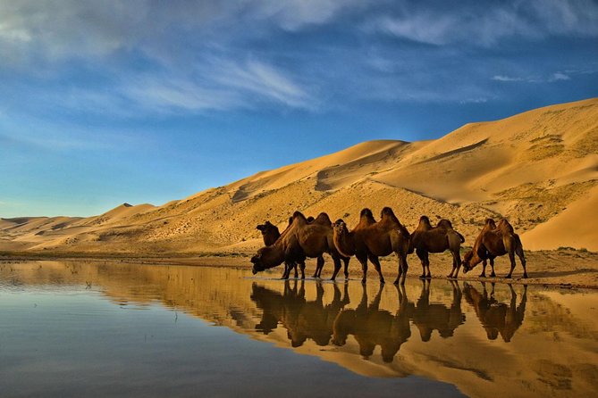 Overnight Semi-Gobi Tour With Nomadic Homestay - Important Reminders