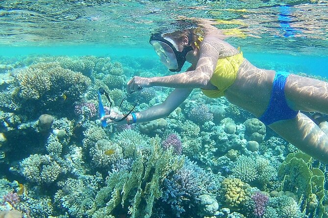 Overnight Snorkeling Trip at Satayh Dolphin Reef From Marsa Alam - Frequently Asked Questions