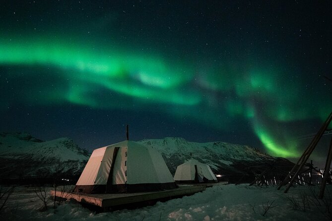 Overnight Stay in Lavvu and Reindeer Feeding - Good To Know