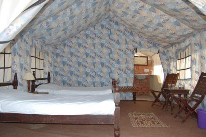 Overnight Stay In Tent With Camel Safari & Folk Dance - Activity Highlights