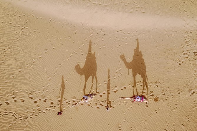 Overnight Stay in the Desert - Desert Safari Experience