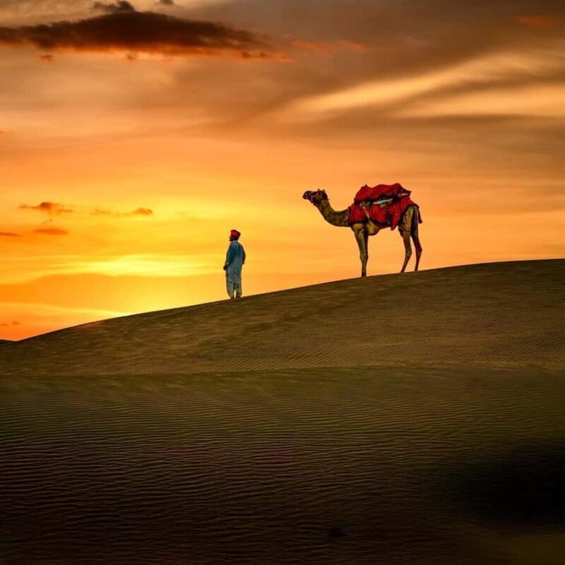 Overnight Thar Desert Safari with Camel Ride & Stargazing - Good To Know