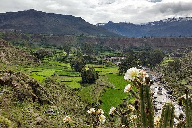 Overnight Tour: Colca Canyon Including Horse Riding From Arequipa - Refund Policy