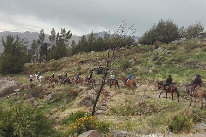 Overnight Tour: Colca Canyon Including Horse Riding From Arequipa - Directions