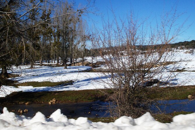 Overnight Tour From Fes to Sahara Desert - Pricing and Payment Options