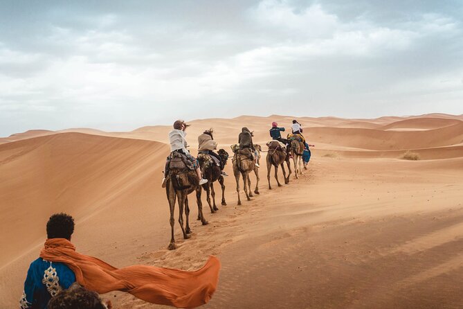 Overnight Tour From Fes to Sahara Desert - Product Details and Code