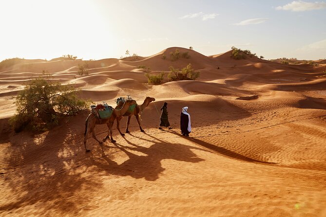 Overnight Tour From Fes to Sahara Desert - Additional Information and Sources