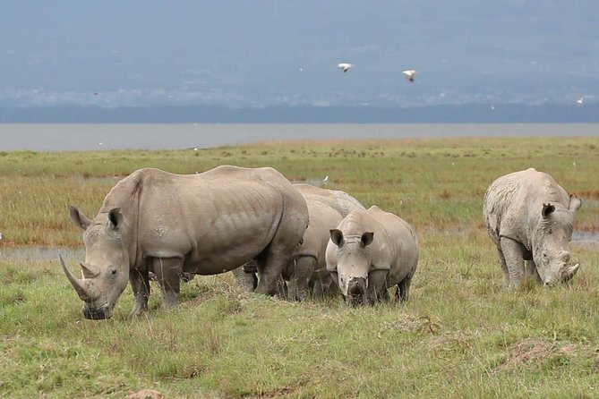 Overnight Tour to Amboseli National Park - Cultural Experiences