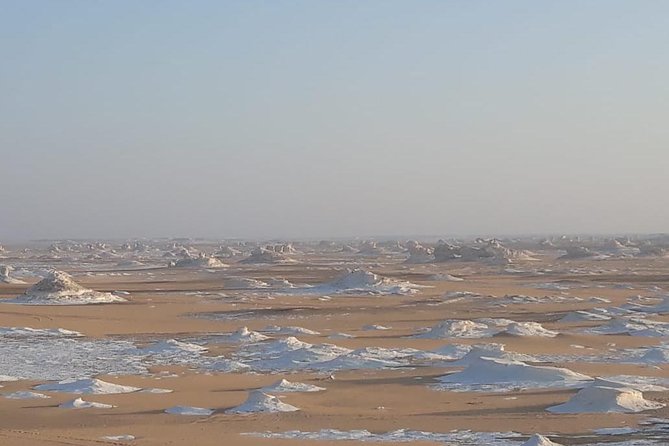Overnight Tour to Baharyia Oasis( Black&White Desert With the Crystal Mountain) - Meeting and Pickup Instructions