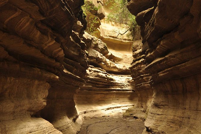 Overnight Tour to Mount Longonot and Hells Gate Naivasha - Tour Operator Details