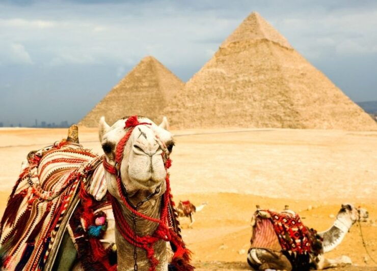 Overnight Trip to Cairo From Portsaid Port - Tour Highlights