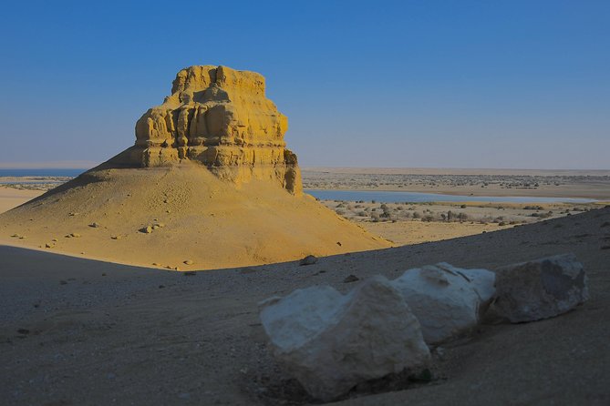 Overnight Trip to Fayyom Oasis, Wadi El-Hitan & Wadi El-Rayyan - Trip Highlights