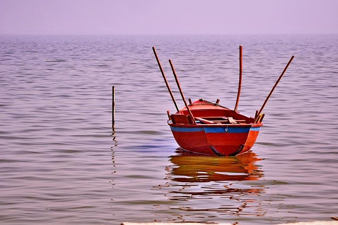 Overnight Trip to Fayyom Oasis, Wadi El-Hitan & Wadi El-Rayyan - Traveler Reviews