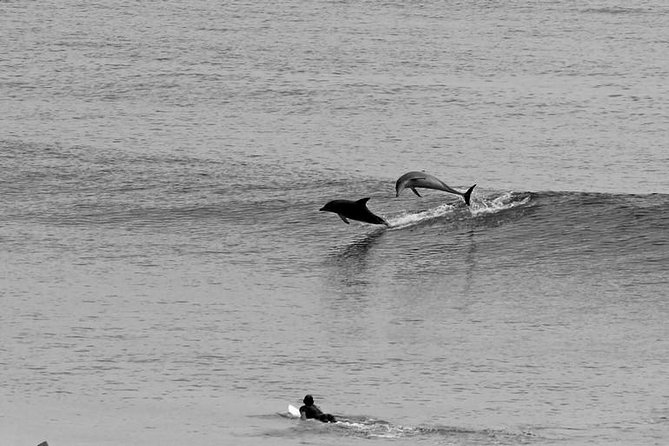 Overnight Tweed Coast Camping and Surfing Getaway From The Gold Coast - Common Questions