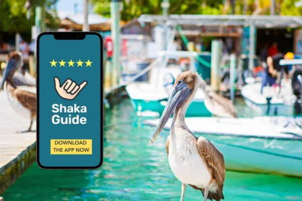 Overseas Highway & Florida Keys Audio Tour Guide - Pricing