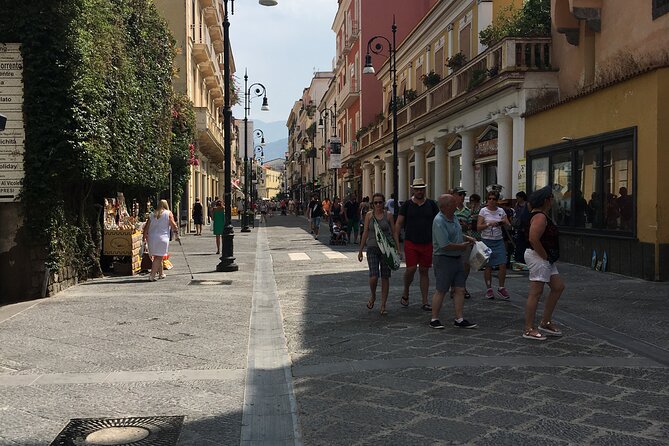 Overview Stop of Positano With Free Time in Sorrento&2hrs Pompeii - Additional Information