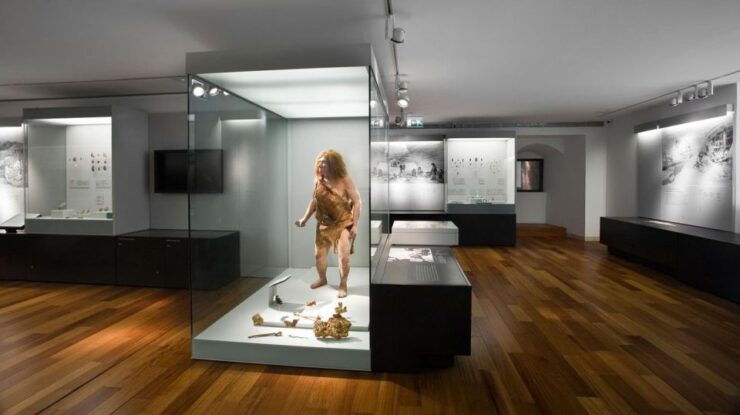 Oviedo : Archaeological and Fine Arts Museum Tour - Tour Activities
