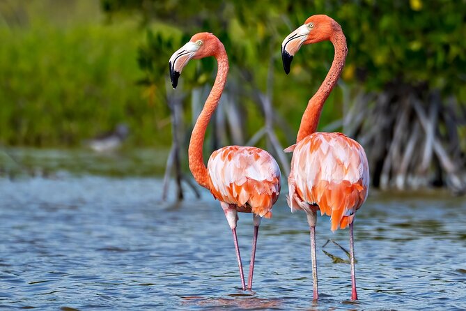 Oviedo Lagoon, ALL INCLUSIVE Experience From Barahona - Booking Information