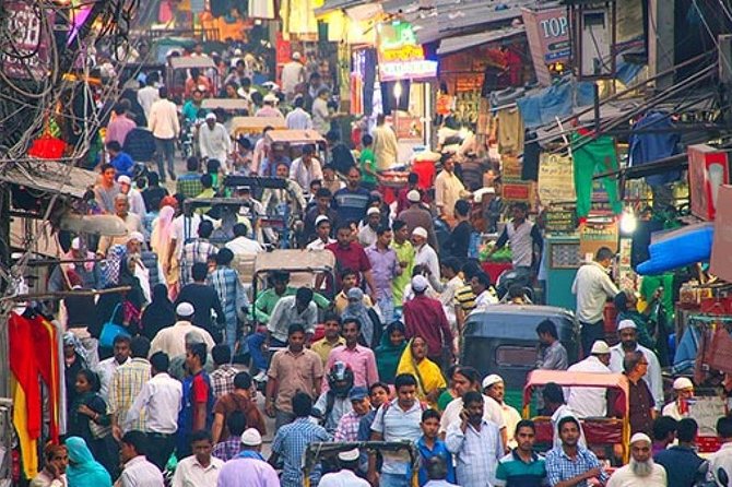 Own Sightseeing Tour in Delhi With Guide & Transport - Reviews