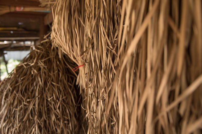 Ox Cart Ride of Rural Cambodia - Navigating Cambodias Countryside