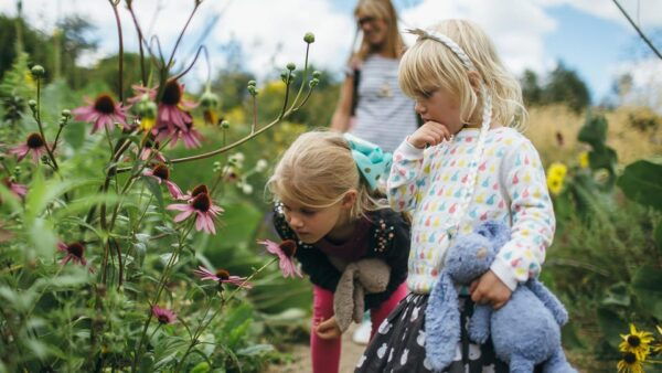 Oxford: Botanic Garden Entry Ticket - Diverse Plant Species