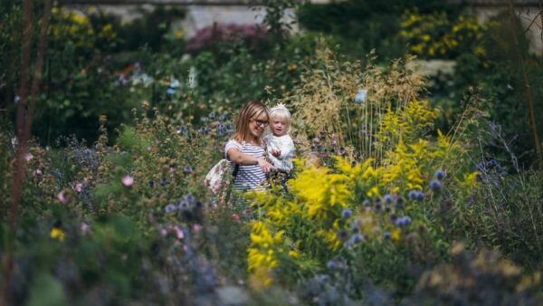 Oxford: Botanic Garden Entry Ticket - Iconic Glasshouse Environments