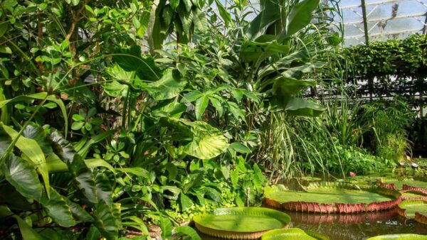 Oxford: Botanic Garden Entry Ticket - Important Planning Information
