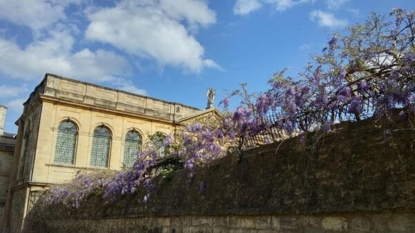 Oxford College Gardens- Includes Spaces Closed to the Public - Group Size and Language