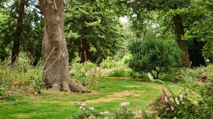 Oxford: Harcourt Arboretum Entry Ticket - Arboretum Overview
