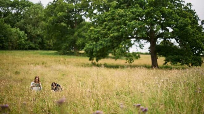 Oxford: Harcourt Arboretum Entry Ticket - Highlights and Experiences