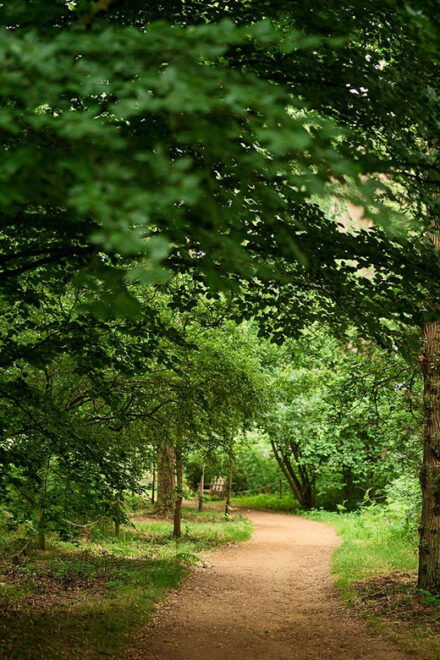 Oxford: Harcourt Arboretum Entry Ticket - Important Information